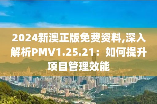 2024新澳正版免费资料,深入解析PMV1.25.21：如何提升项目管理效能
