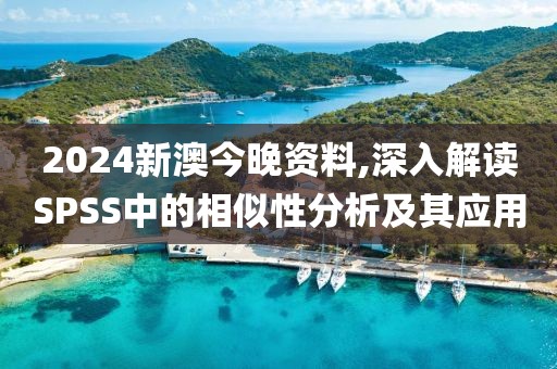 2024新澳今晚资料,深入解读SPSS中的相似性分析及其应用
