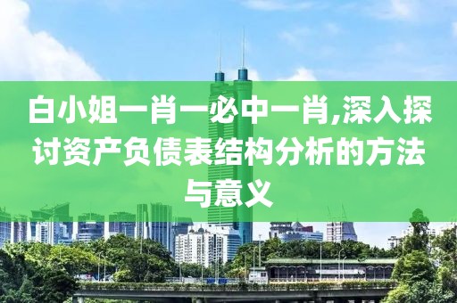 白小姐一肖一必中一肖,深入探讨资产负债表结构分析的方法与意义