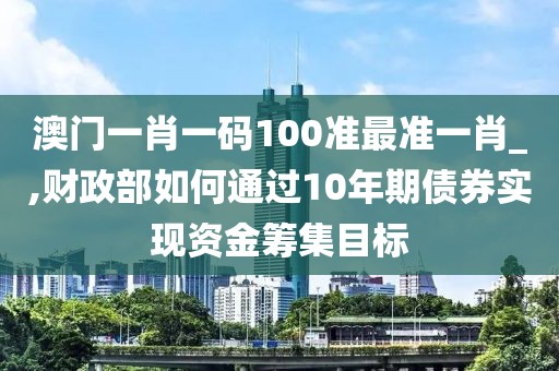澳门一肖一码100准最准一肖_,财政部如何通过10年期债券实现资金筹集目标