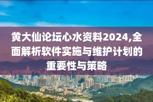 黄大仙论坛心水资料2024,全面解析软件实施与维护计划的重要性与策略