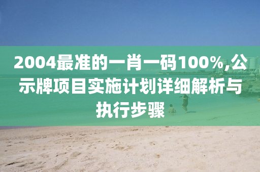 2004最准的一肖一码100%,公示牌项目实施计划详细解析与执行步骤
