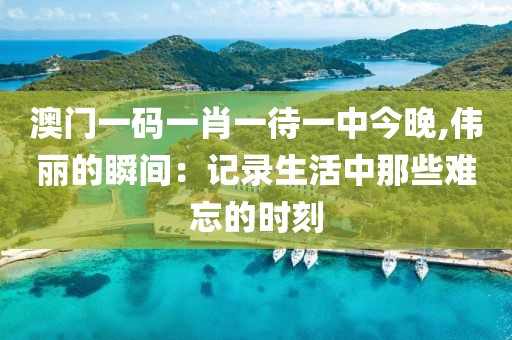 澳门一码一肖一待一中今晚,伟丽的瞬间：记录生活中那些难忘的时刻