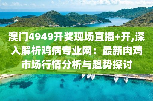 澳门4949开奖现场直播+开,深入解析鸡病专业网：最新肉鸡市场行情分析与趋势探讨
