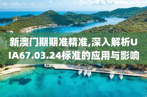 新澳门期期准精准,深入解析UIA67.03.24标准的应用与影响
