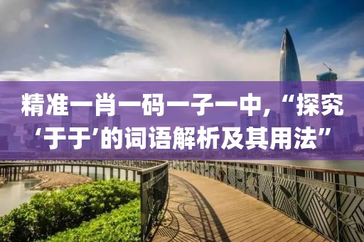 精准一肖一码一子一中,“探究‘于于’的词语解析及其用法”