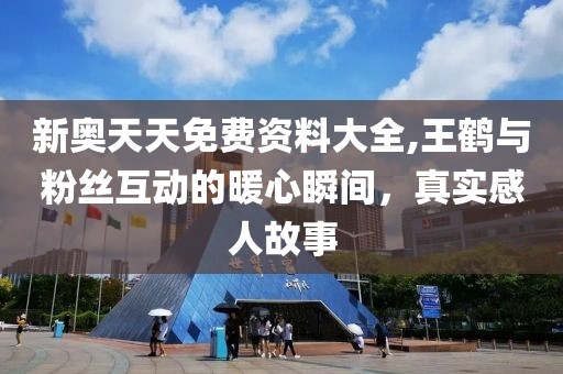 新奥天天免费资料大全,王鹤与粉丝互动的暖心瞬间，真实感人故事