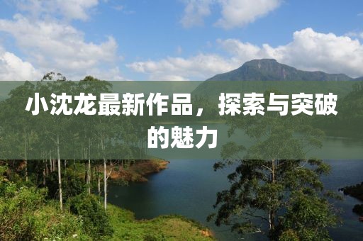 小沈龙最新作品，探索与突破的魅力