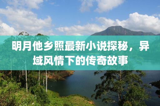 明月他乡照最新小说探秘，异域风情下的传奇故事