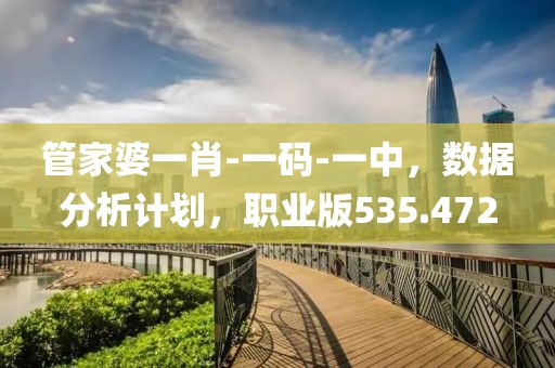 管家婆一肖-一码-一中，数据分析计划，职业版535.472