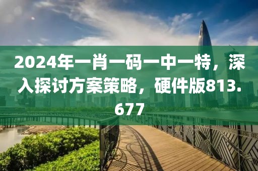 2024年一肖一码一中一特，深入探讨方案策略，硬件版813.677