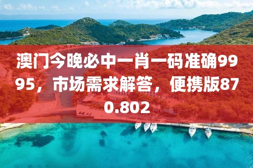 澳门今晚必中一肖一码准确9995，市场需求解答，便携版870.802