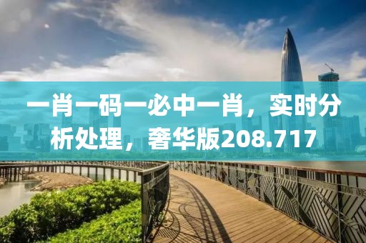 一肖一码一必中一肖，实时分析处理，奢华版208.717