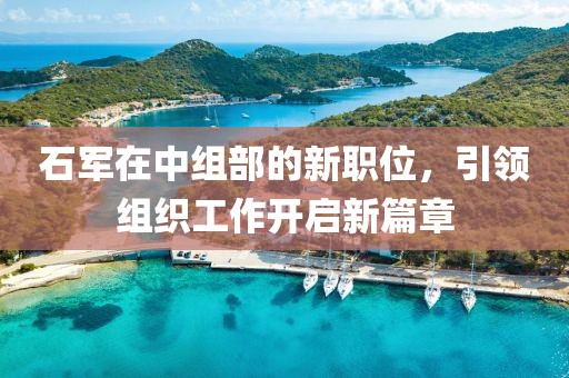 石军在中组部的新职位，引领组织工作开启新篇章