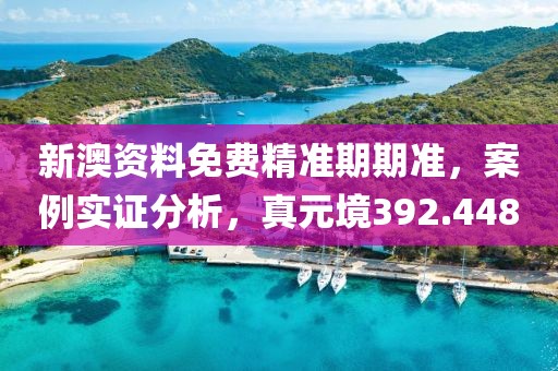 新澳资料免费精准期期准，案例实证分析，真元境392.448