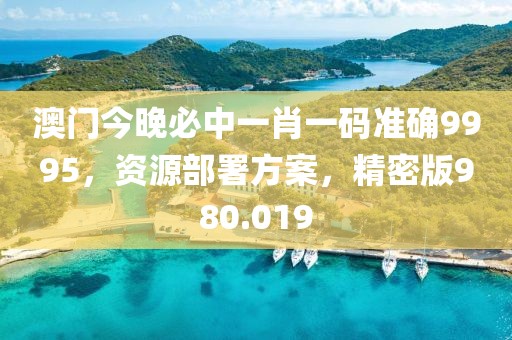 澳门今晚必中一肖一码准确9995，资源部署方案，精密版980.019