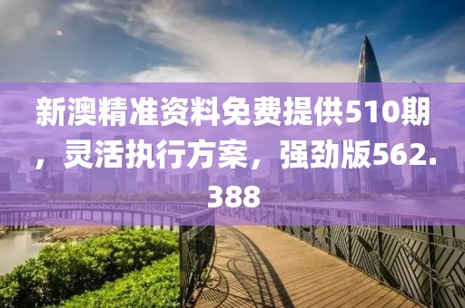 新澳精准资料免费提供510期，灵活执行方案，强劲版562.388