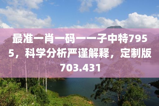 最准一肖一码一一子中特7955，科学分析严谨解释，定制版703.431