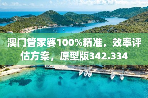 澳门管家婆100%精准，效率评估方案，原型版342.334
