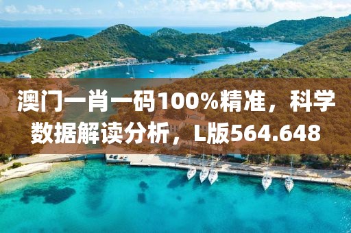 澳门一肖一码100%精准，科学数据解读分析，L版564.648