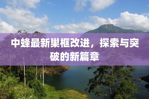 中蜂最新巢框改进，探索与突破的新篇章