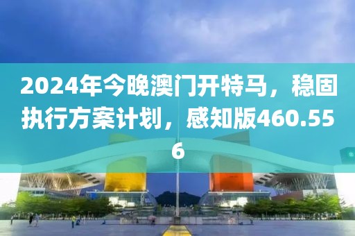 2024年今晚澳门开特马，稳固执行方案计划，感知版460.556