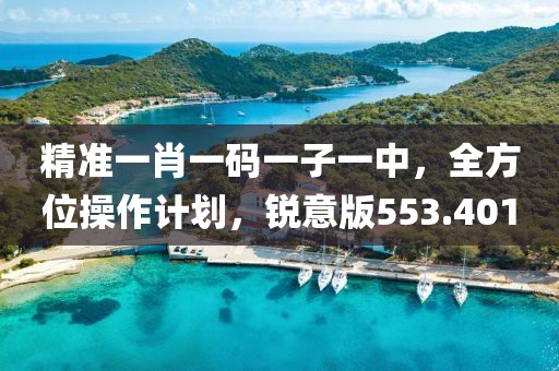 精准一肖一码一子一中，全方位操作计划，锐意版553.401