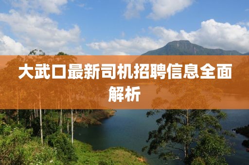 大武口最新司机招聘信息全面解析