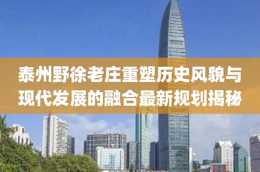 泰州野徐老庄重塑历史风貌与现代发展的融合最新规划揭秘