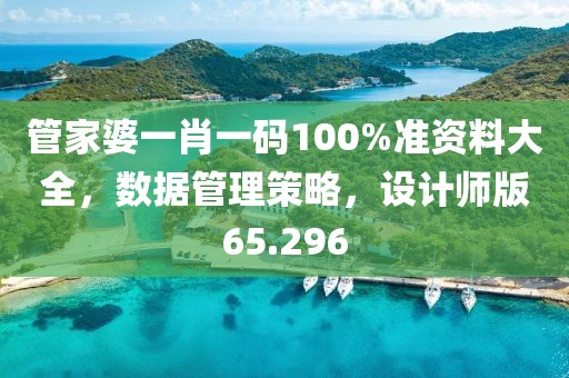 管家婆一肖一码100%准资料大全，数据管理策略，设计师版65.296