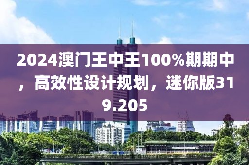 2024澳门王中王100%期期中，高效性设计规划，迷你版319.205