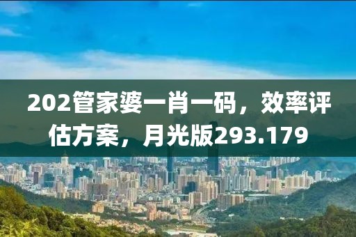202管家婆一肖一码，效率评估方案，月光版293.179