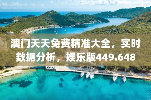 澳门天天免费精准大全，实时数据分析，娱乐版449.648