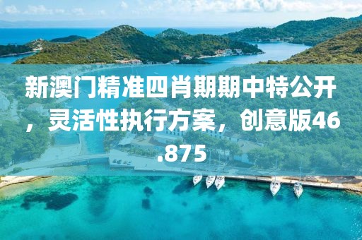 新澳门精准四肖期期中特公开，灵活性执行方案，创意版46.875
