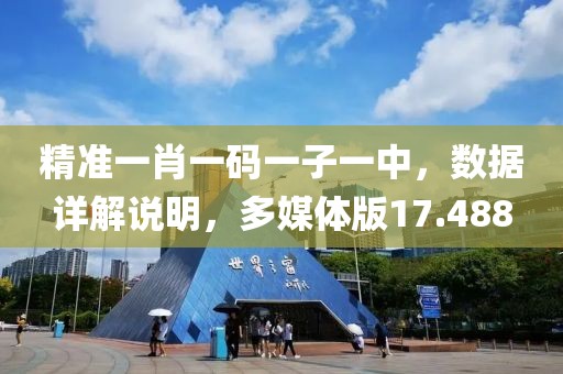 精准一肖一码一子一中，数据详解说明，多媒体版17.488