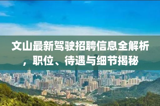 文山最新驾驶招聘信息全解析，职位、待遇与细节揭秘