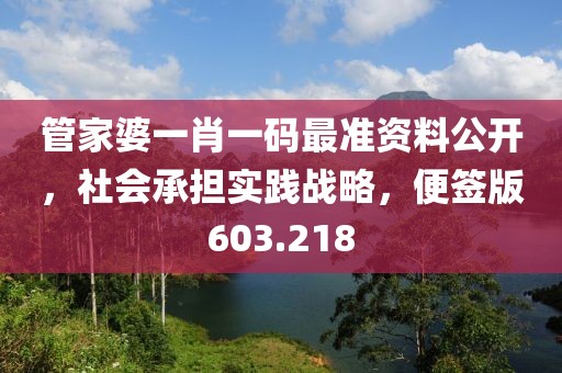 管家婆一肖一码最准资料公开，社会承担实践战略，便签版603.218