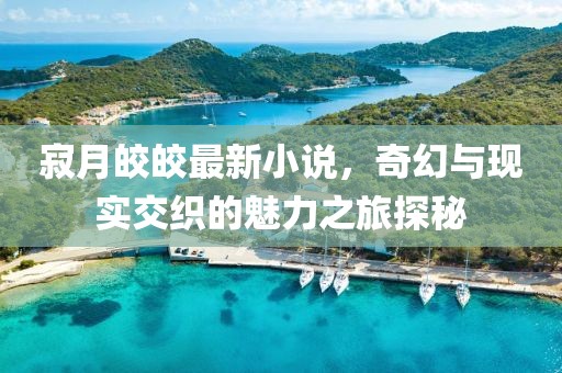 寂月皎皎最新小说，奇幻与现实交织的魅力之旅探秘