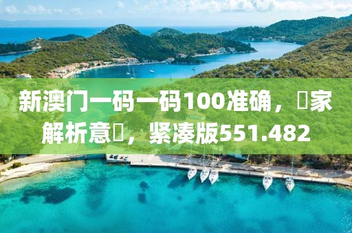 新澳门一码一码100准确，專家解析意見，紧凑版551.482