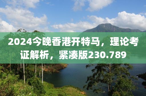 2024今晚香港开特马，理论考证解析，紧凑版230.789