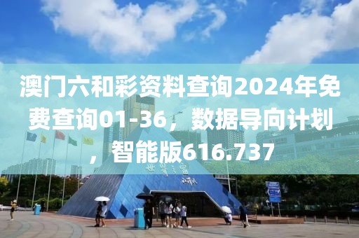 澳门六和彩资料查询2024年免费查询01-36，数据导向计划，智能版616.737