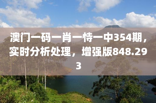 澳门一码一肖一恃一中354期，实时分析处理，增强版848.293