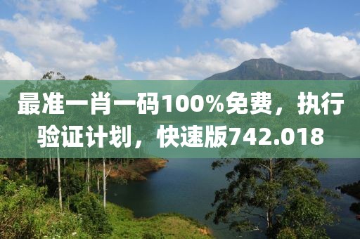 最准一肖一码100%免费，执行验证计划，快速版742.018
