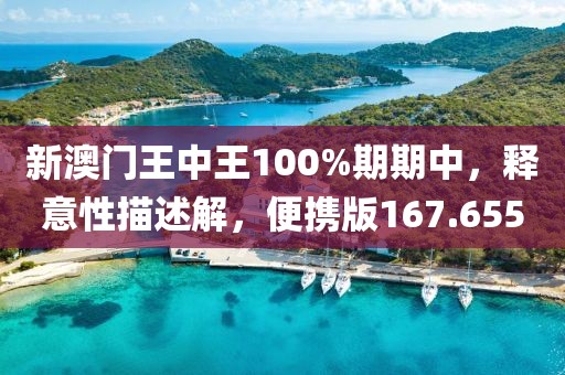 新澳门王中王100%期期中，释意性描述解，便携版167.655