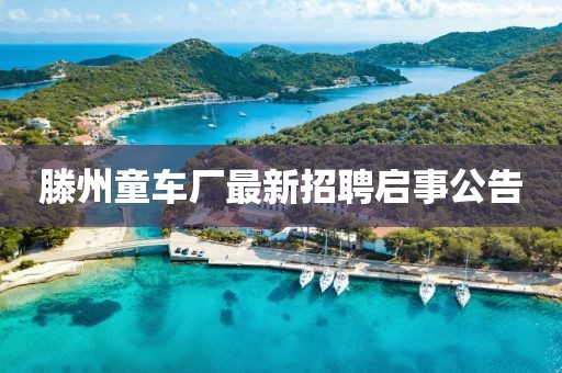 滕州童车厂最新招聘启事公告