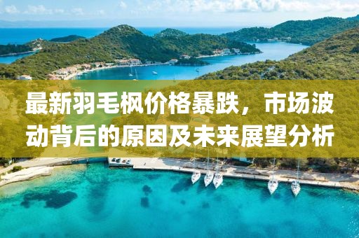 最新羽毛枫价格暴跌，市场波动背后的原因及未来展望分析