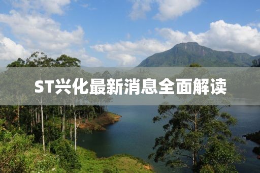 ST兴化最新消息全面解读