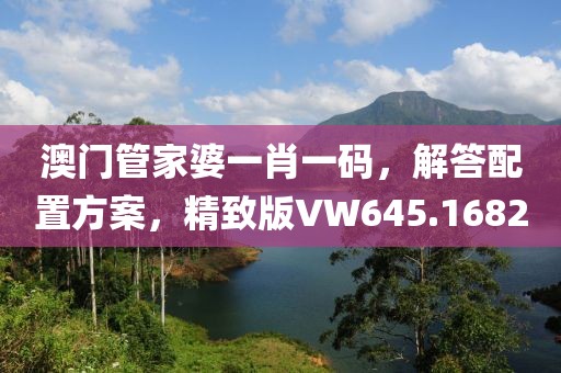 澳门管家婆一肖一码，解答配置方案，精致版VW645.1682