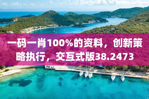 一码一肖100%的资料，创新策略执行，交互式版38.2473
