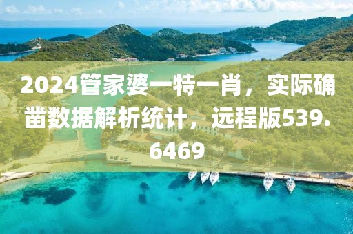 2024管家婆一特一肖，实际确凿数据解析统计，远程版539.6469